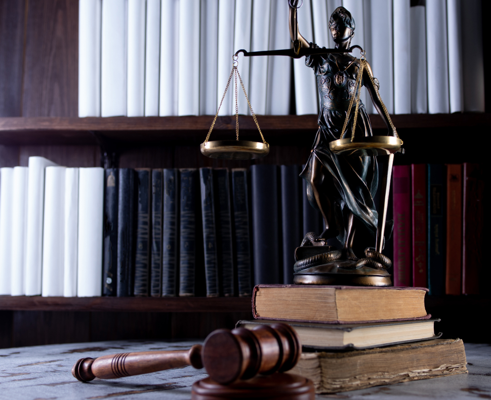 Legal services and law firm consultation